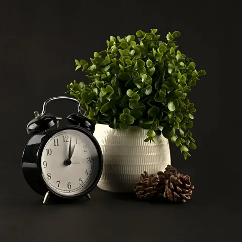Home decors lifestyle 005